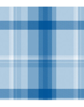 Blue Plaid